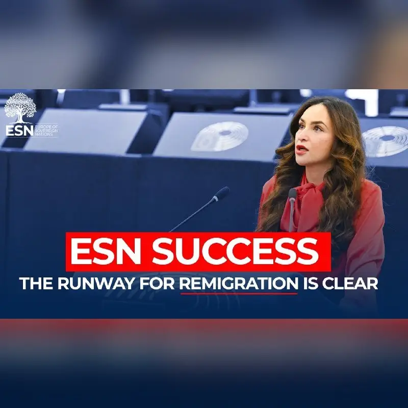 ESN Success: The Runway for Remigration Is Clear! — graphic of the ESN Group in the European Parliament