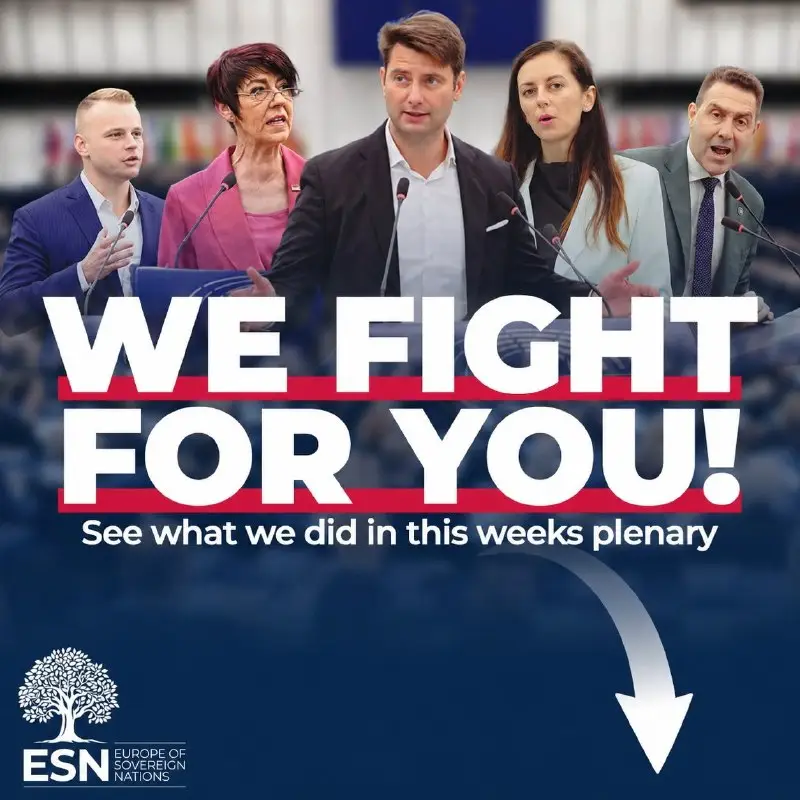 Stronger return rules for illegal migrants — graphic of the ESN Group in the European Parliament