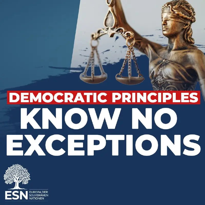 Defend democratic principles, whoever is concerned — graphic of the ESN Group in the European Parliament