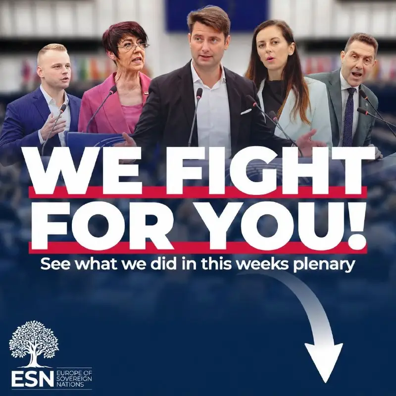 Parliament revives Chat Control through the back door — graphic of the ESN Group in the European Parliament