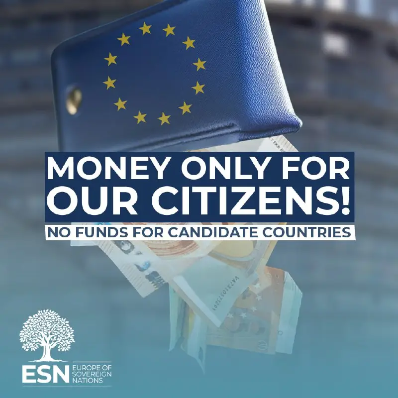 The ESN group voted against the pre-accession funds! — graphic of the ESN Group in the European Parliament