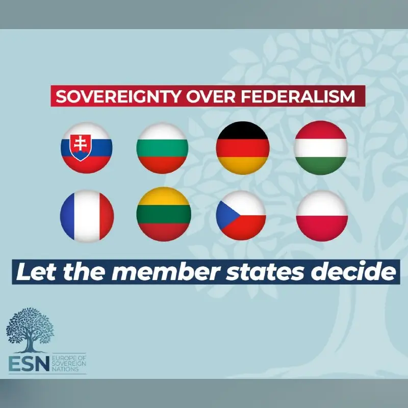 LIBE adopts rule-of-law report — ESN votes against — graphic of the ESN Group in the European Parliament