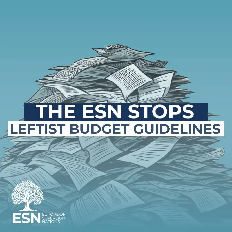 LIBE Committee votes down the political guidelines for the 2026 EU budget — graphic of the ESN Group in the European Parliament