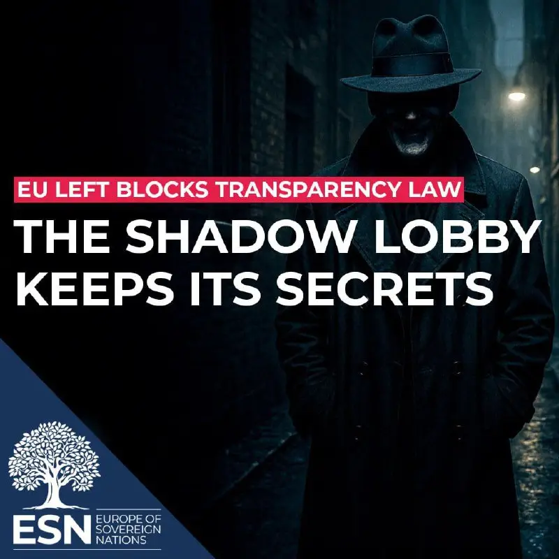 EU Left Blocks Transparency Law – the Shadow Lobby Keeps Its Secrets — graphic of the ESN Group in the European Parliament