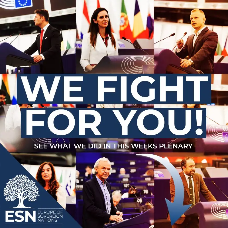 Plenary Week in Strasbourg: Responsibility Instead of Ideology! — graphic of the ESN Group in the European Parliament