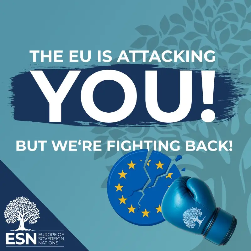 Votes on emissions, gender strategy and data centralisation — graphic of the ESN Group in the European Parliament