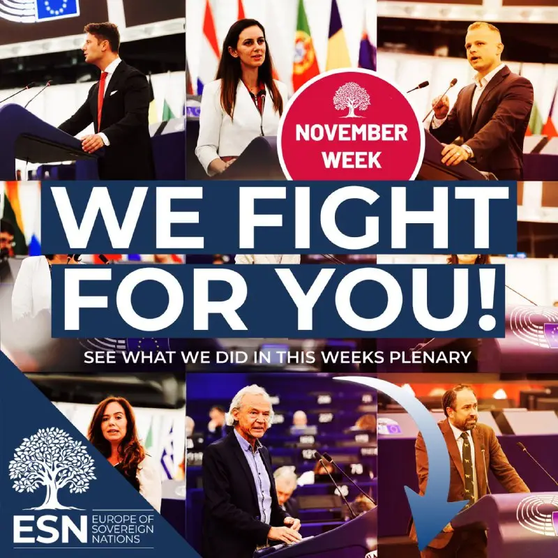 Plenary week recap — the ESN perspective — graphic of the ESN Group in the European Parliament