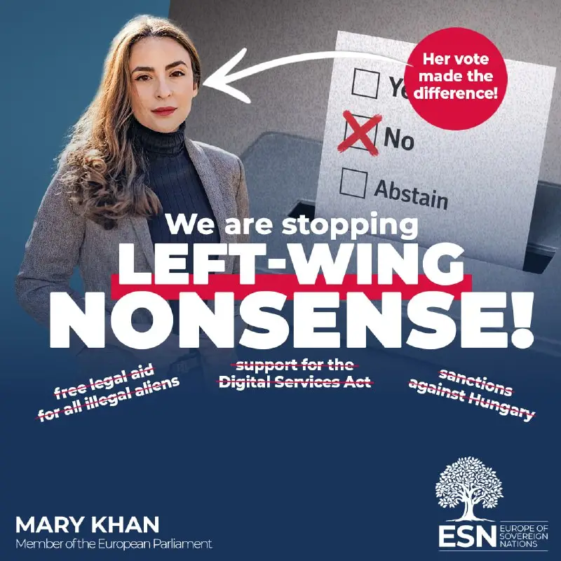 JURI rejects the left-wing opinion on the Rule of Law report by one vote — graphic of the ESN Group in the European Parliament